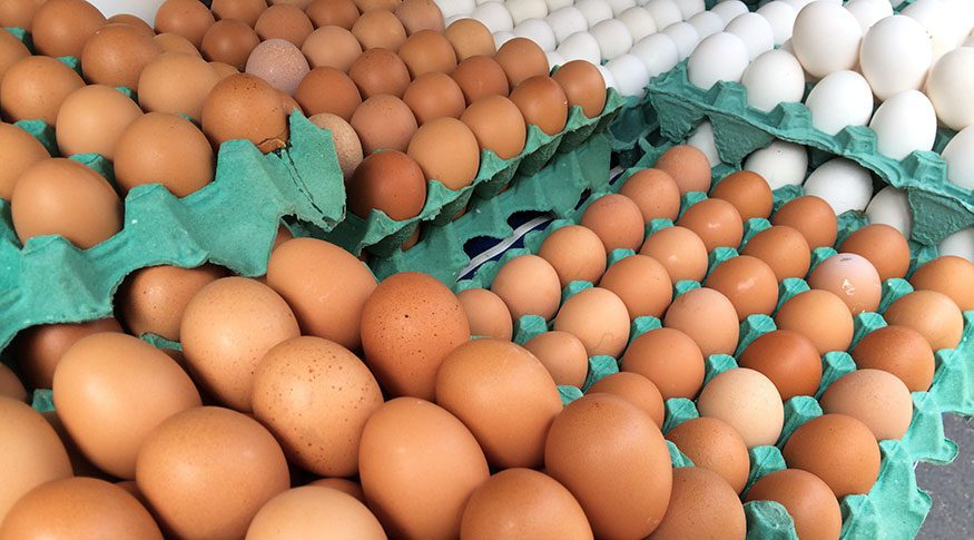 Produção de ovos aumenta no Maranhão e destaca estado em cenário nacional