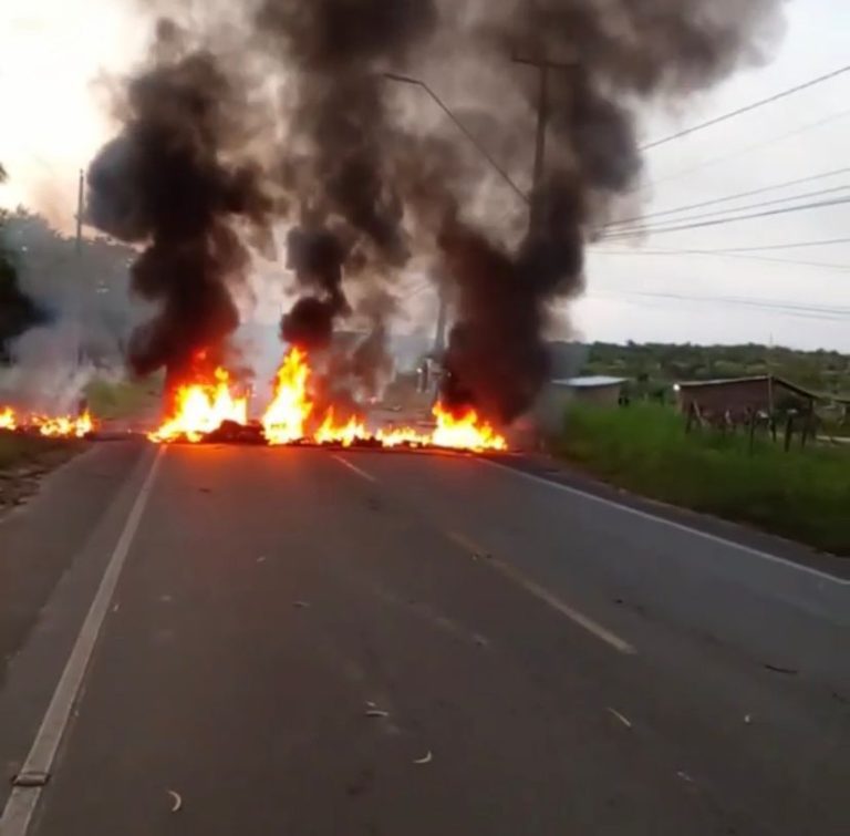 WhatsApp Image 2023-04-14 at 08.37.11 (2)