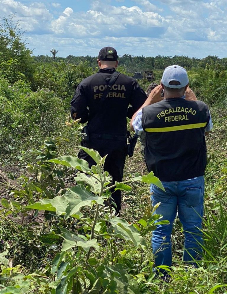 pf operação cerrado aldeias altas