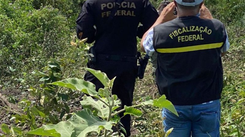 Trabalhadores em condições análogas a escravidão são resgatados de fazenda em Aldeias Altas