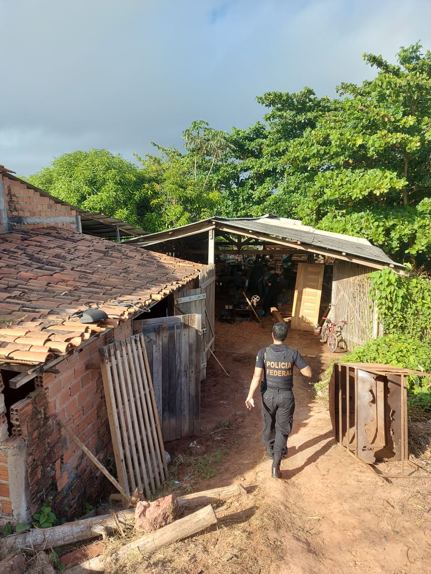 PF flagra transporte legal de madeira e funcionamento de carvoarias no interior do Maranhão
