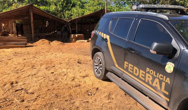 PF deflagra operação na Terra Indígena Araribóia