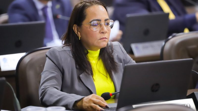 Concita Pinto propõe mais segurança para as escolas de São Luís