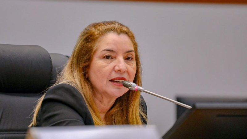 Iracema Vale faz balanço positivo do primeiro semestre de 2023 na Assembleia Legislativa