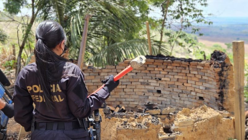 Operação da PF combate recebimento ilegal de madeira oriunda de Terras Indígenas.