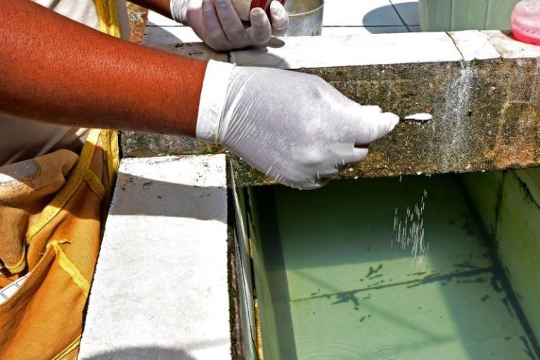 combate aedes dengue