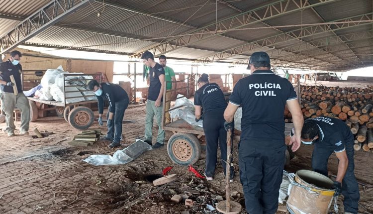 Polícia do Maranhão incinera mais de uma tonelada de drogas apreendidas em 2023