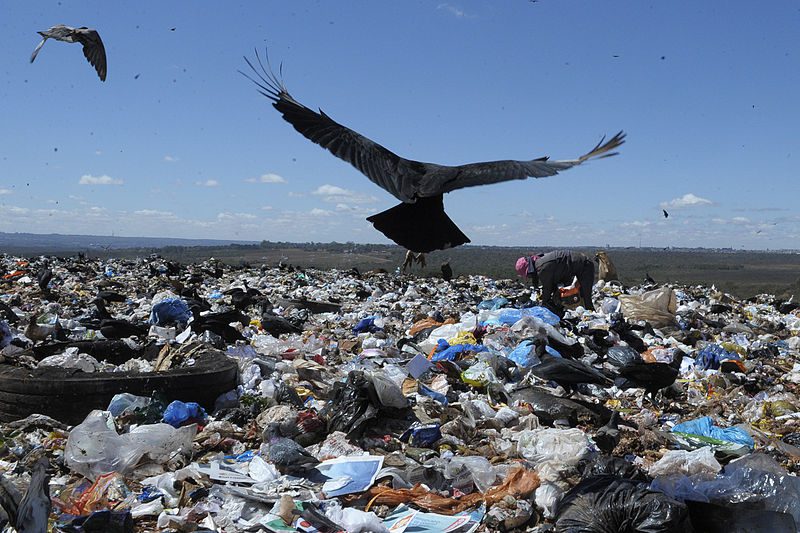 Maranhão tem menor percentual de coleta de lixo do país mesmo com maior expansão de cobertura em 12 anos