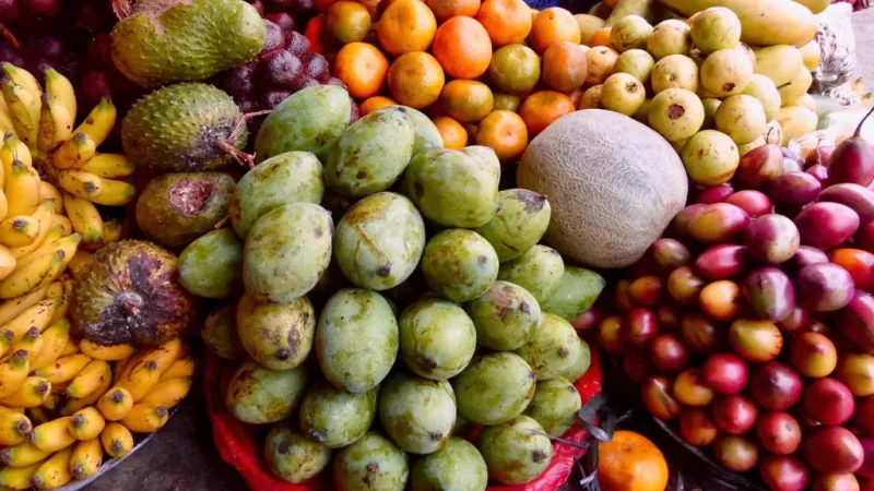 Governo lança Plano de Desenvolvimento da Fruticultura do Estado do Maranhão