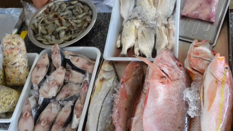 Vigilância Sanitária fiscaliza venda de peixes e frutos do mar para Semana Santa