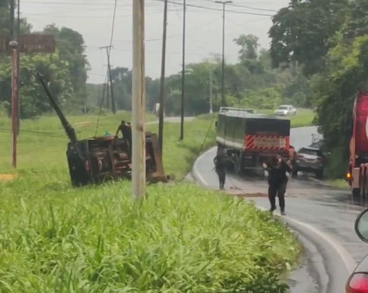 Vigilantes são atacados por abelhas após capotamento de carro-forte na BR 135