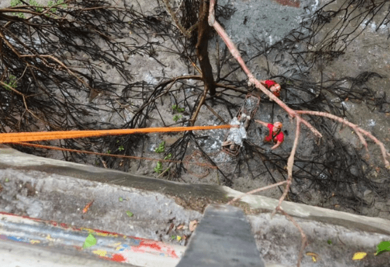 Suspeito de praticar assalto se joga em mangue e capturado por militares do Corpo de Bombeiros