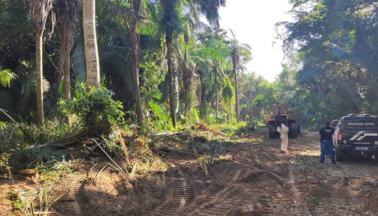 Quatro pessoas são presas por desmatamento em área de proteção ambiental no interior do MA