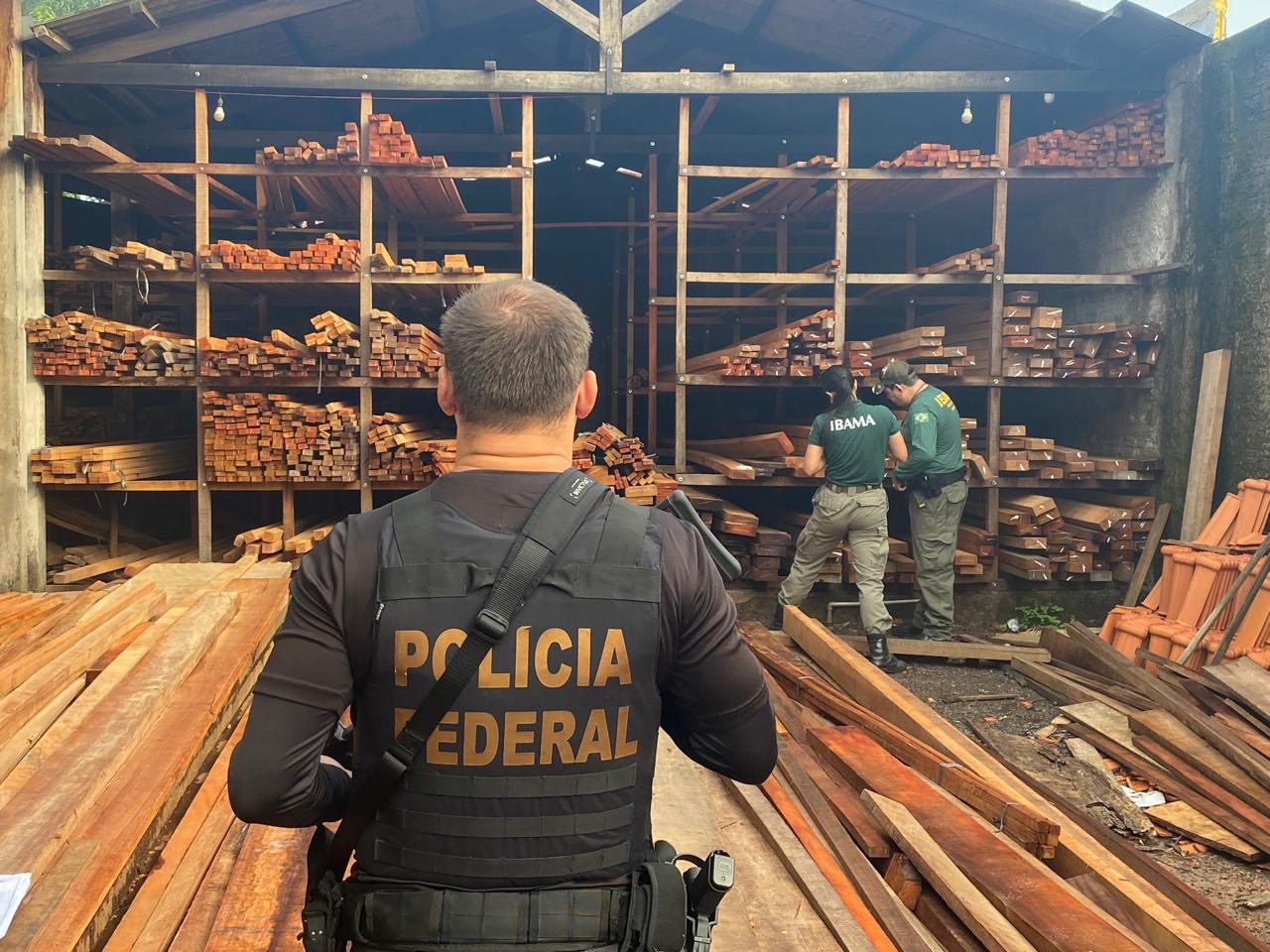 PF deflagra operação contra serrarias clandestinas no interior do Maranhão