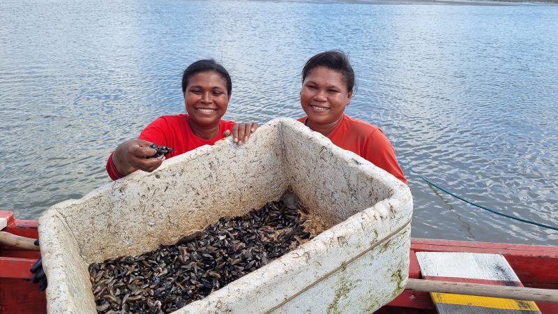 Turismo de base comunitária movimenta o território do Munim com ação do Sebrae