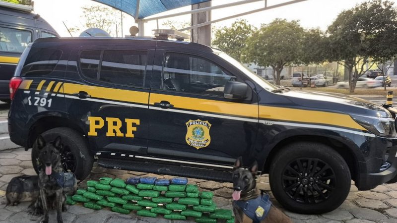 Polícia apreende 38kg de maconha escondidas em caminhão aos saiu do MA para o PI