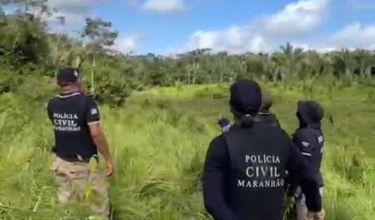 Polícia Civil do Maranhão destrói roça com 10 mil pés de maconha e prende três pessoas em Pedro do Rosário