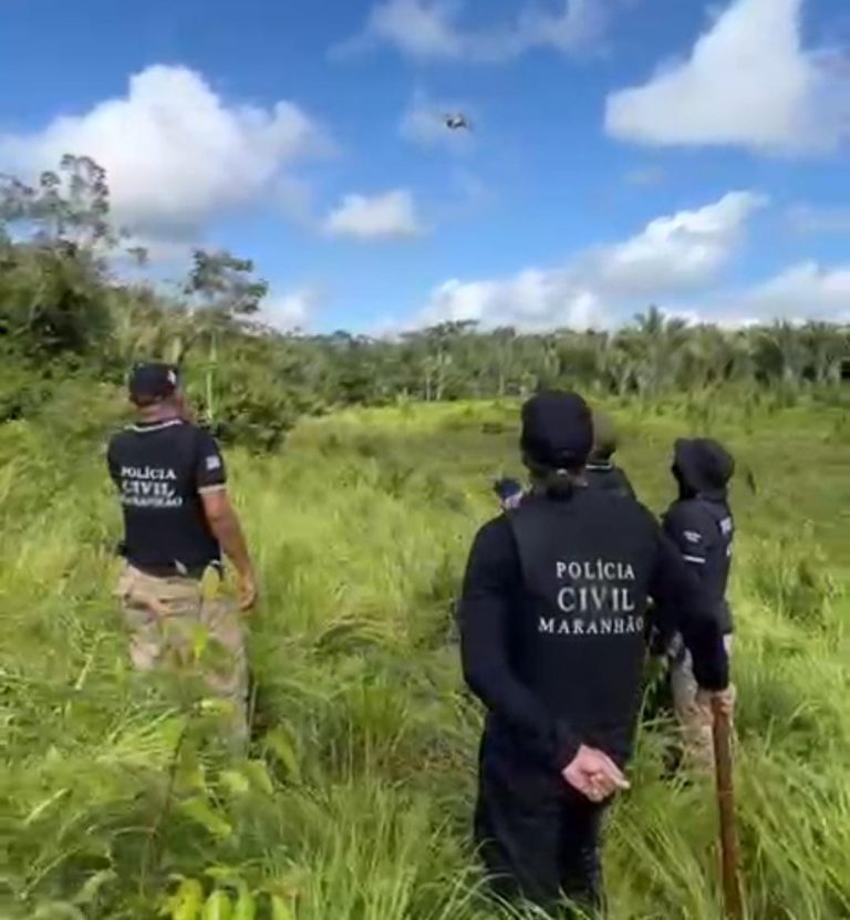 Polícia Civil do Maranhão destrói roça com 10 mil pés de maconha e prende três pessoas em Pedro do Rosário