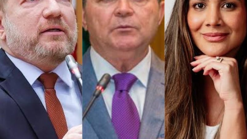 Othelino Neto e Ana Paula Lobato articulam possibilidade para assumir comando do PSB no Maranhão