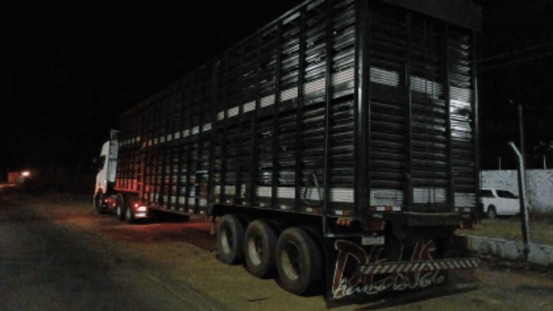 PRF prende caminhoneiro embriagado transportando carga de gado na BR-010