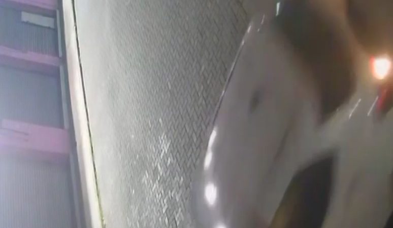 Bandidos invadem joalheria de marcha ré, furtam mercadorias e deixam rastro de destruição