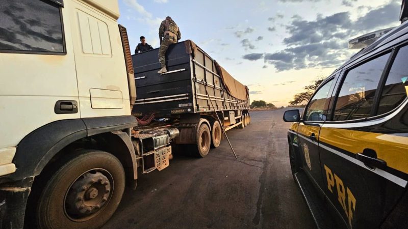 PRF apreende mais de 360 kg de drogas escondidos em carga de milho no Maranhão