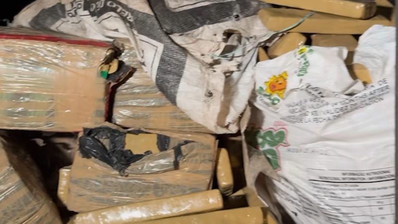Polícia apreende cerca de uma tonelada de drogas em Paço do Lumiar