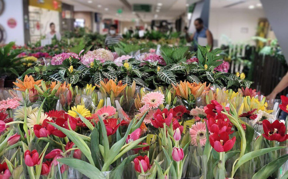Rio Anil Shopping recebe festival Flores de Holambra até domingo (05)