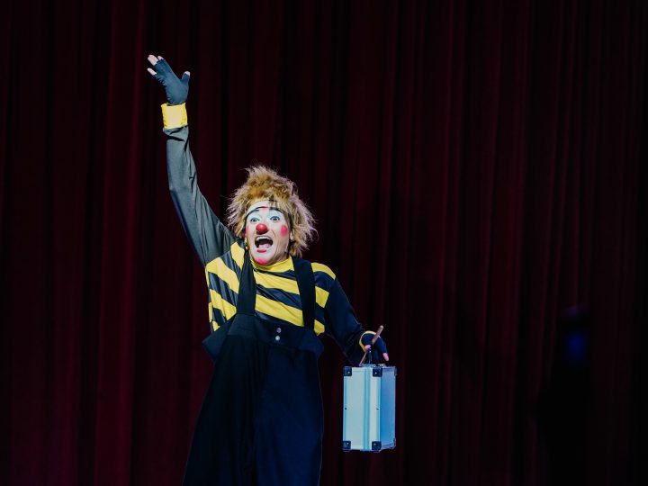 Le Petiti Cirque une magia e solidariedade em São Luís