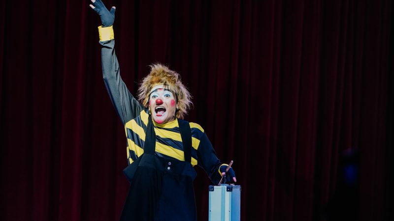 Le Petiti Cirque une magia e solidariedade em São Luís