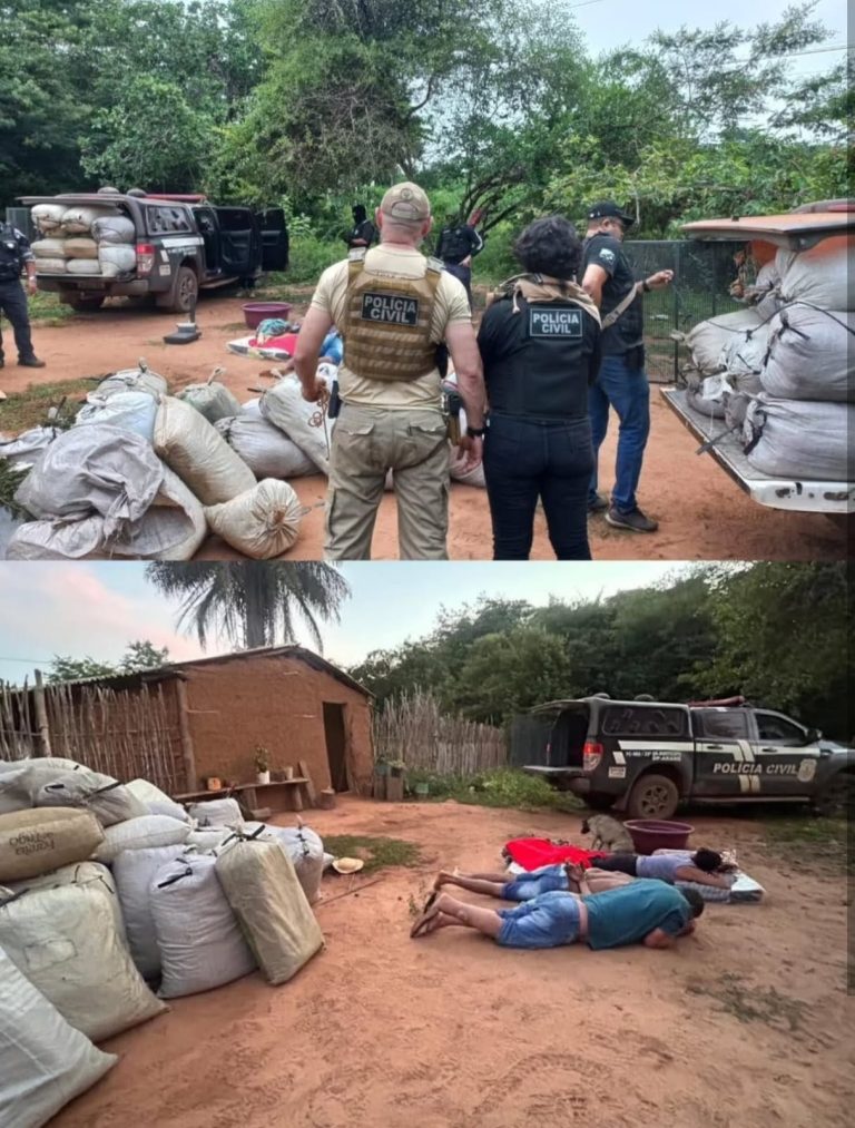 WhatsApp Image 2026-01-26 at 11.46.07