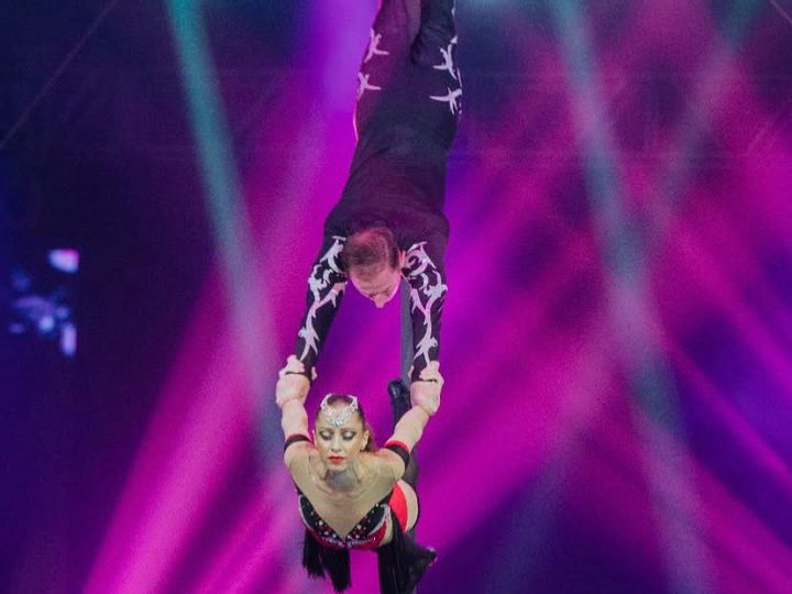 Circo Americano oferece entrada gratuita para aniversariantes do mês às segundas e terças