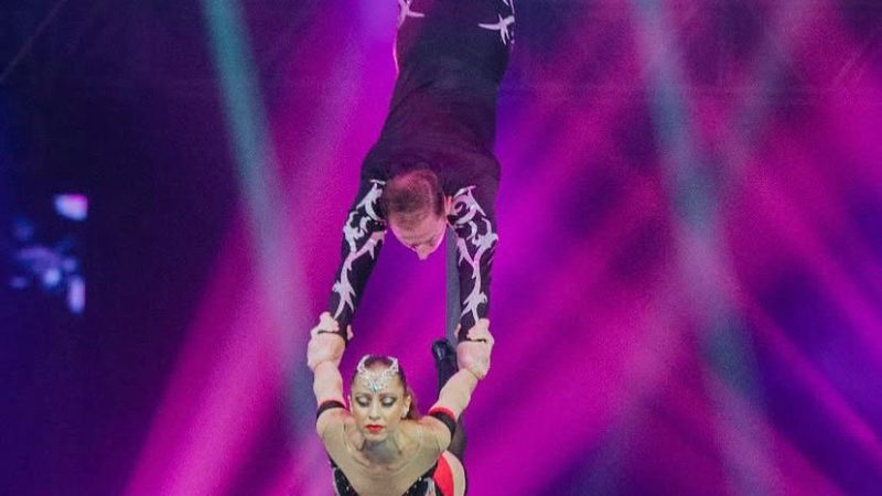 Circo Americano oferece entrada gratuita para aniversariantes do mês às segundas e terças